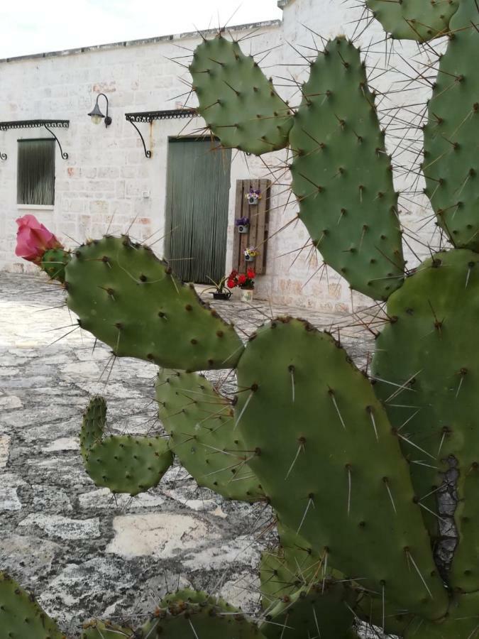 Maison Milleottocento Cisternino Eksteriør billede
